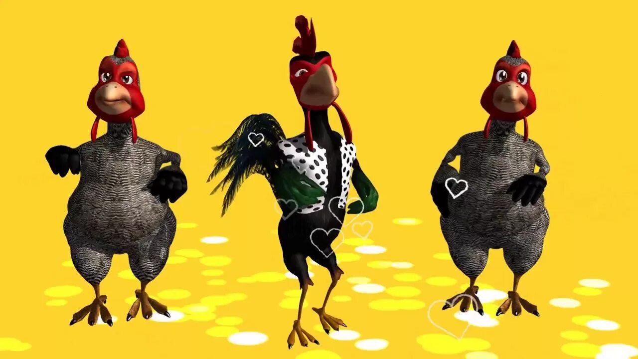 Танец курочки. Куры танцуют. Танцующие курочки. Три курицы. Курочка танцует.