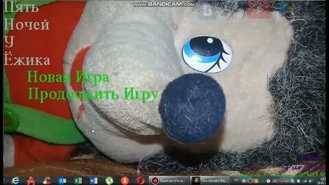 5 почи