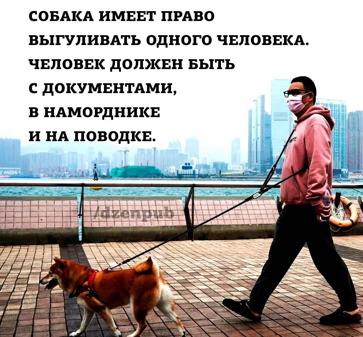 Почему нужно гулять