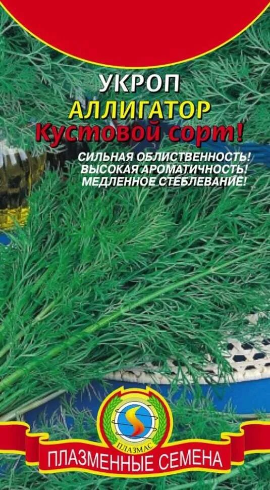 Укроп купить москва. Семена укроп Аллигатор. Укроп сорт Аллигатор. Семена зелень укроп Аллигатор 4г. Семена зелени Аллигатор.