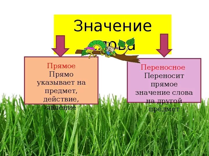 Многозначные слова в прямом значении. Употребление многозначных слов. Прямое и переносное значение многозначных слов. Употребление в речи многозначных слов.