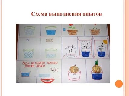 Конспекты опытной экспериментальной деятельности