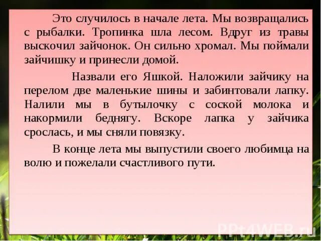 Часто приходилось мне наблюдать за выводком. Случай в лесу рассказ. Случай в лесу сочинение. Рассказ летом в лесу. Интересный текст повествование.