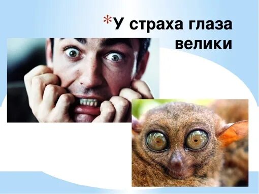 У страха глаза велики как называется выражение. У страха глаза велики. у страха глаза велики книга. от страха глаза велики.
