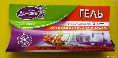 Прошка тольятти