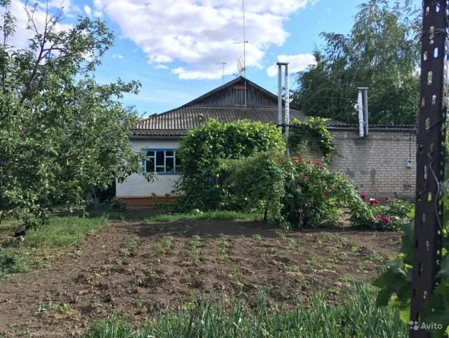 Купить дом в новоузенском. Новоузенск Саратовская область. Куриловка Саратовская область. Поселок Радищево Новоузенский район. Новоузенский район Саратовская область деревня Глухово.