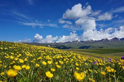 Казахстан в апреле