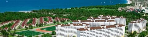 Морская горгиппия анапа