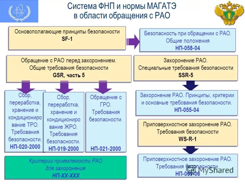 Федеральная нотариальная палата герб рф. Структура органов нотариальной палаты субъекта рф. Нотариат федеральная нотариальная палата. Система федеральной нотариальной палаты. Система федеральной нотариальной палаты.