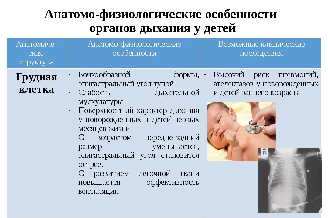 Анатомо физиологические развитие детей. Анатомо-физиологические особенности дыхательной системы у детей. Анатомо-физиологические особенности органов дыхания у детей. Анатомо физиологические особенности дыхания у детей. Анатомо физиологические системы органов дыхания у детей.