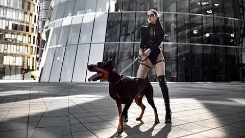 Собака вместо женщины
