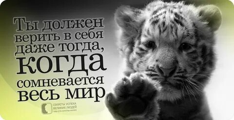 Тогда верю