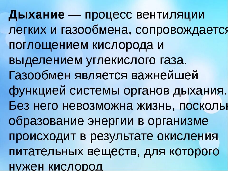 Особенности дыхания зверей. Как дышат животные. Сообщение как дышат животные. Дыхание животных презентация. Презентация на тему исследование органов дыхания животных..