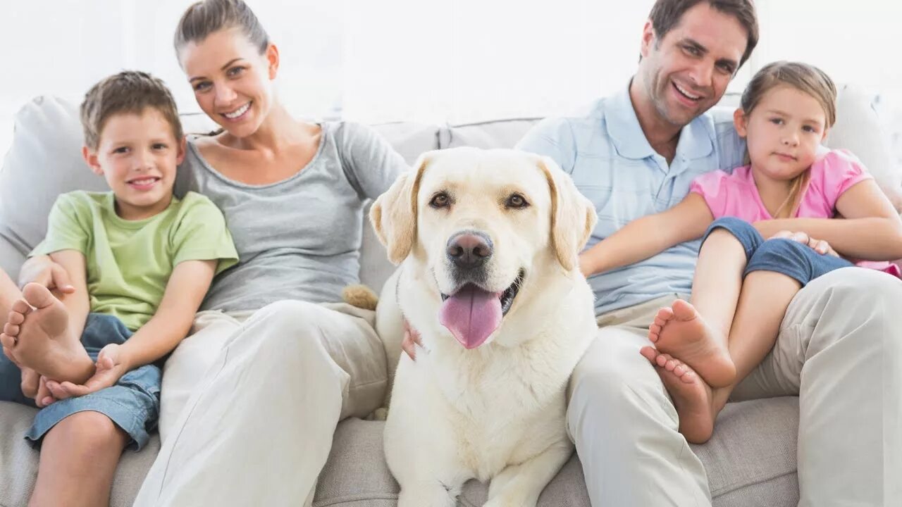 Pet family отзывы. Семья. Домашние животные. Семья с собакой. Собаки для семьи с детьми. Счастливая семья с собакой.