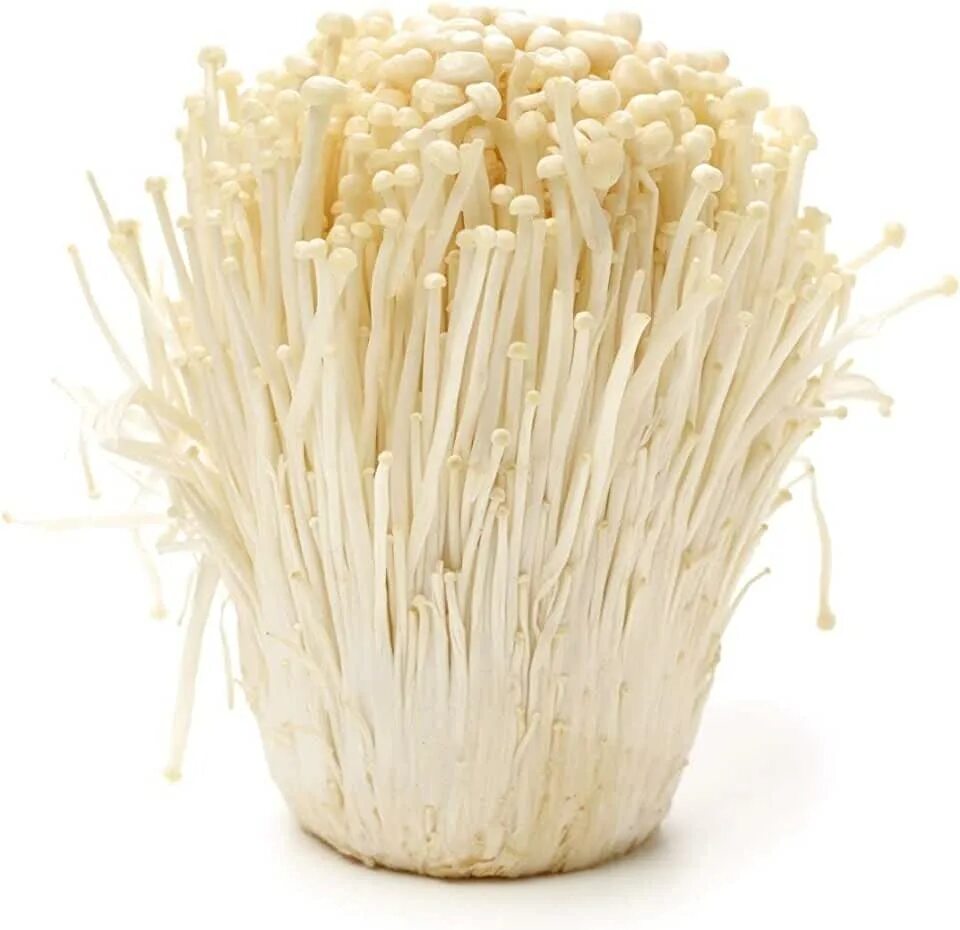 Amazon.com: Enoki Mushrooms