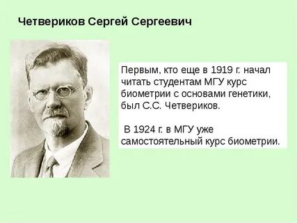 Четвериков биография