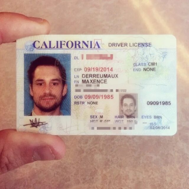 California driver license. California driver license. California driver license. California driver license. California driving license.