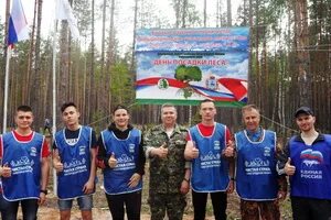 Лесничество бор