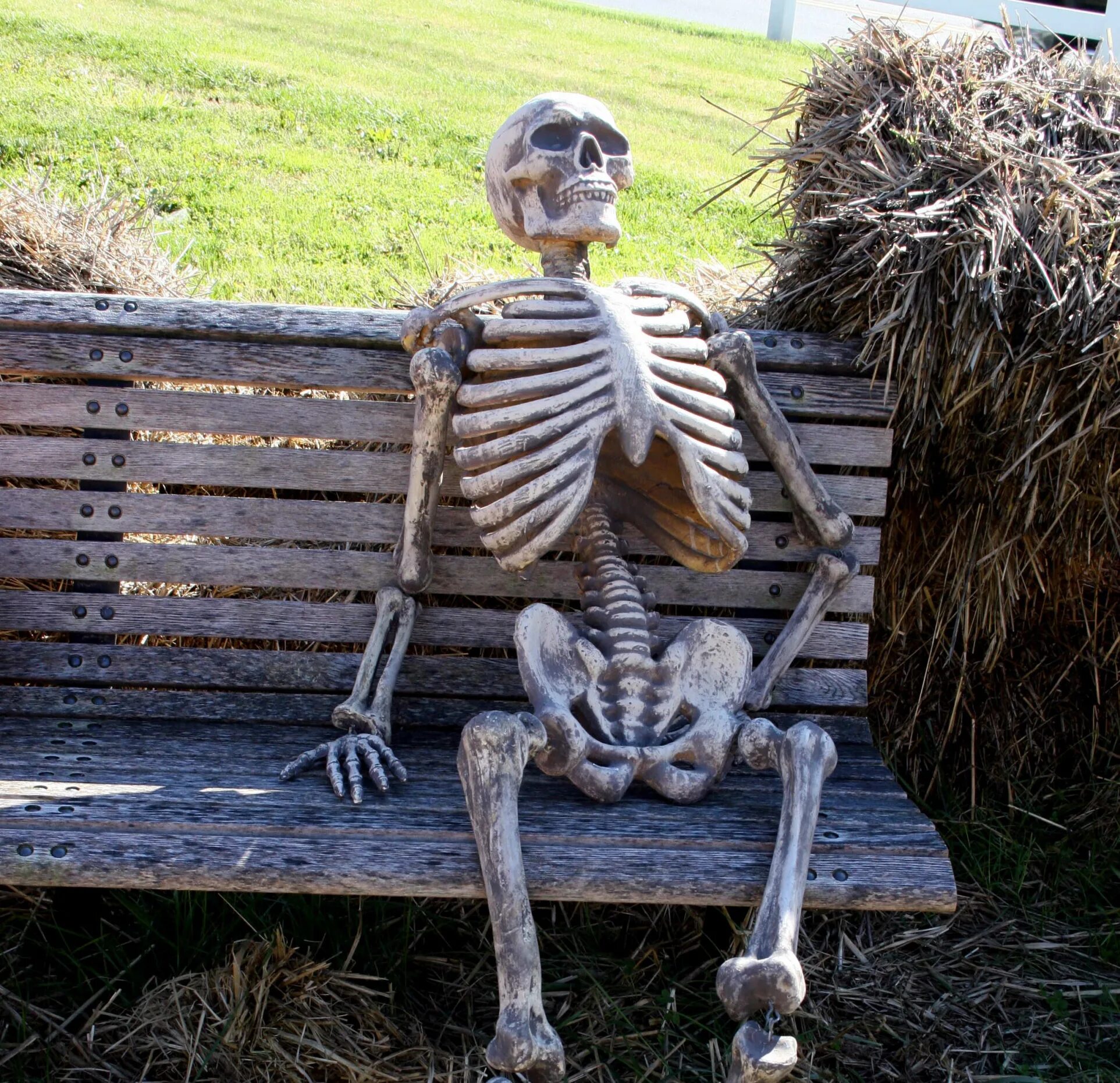 Waiting to continue