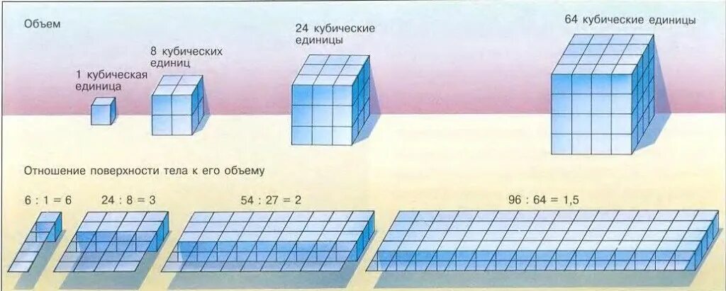 1 куб ед. Кубические единицы. 1 Кубическая единица. Кубические меры объема. Таблица кубических единиц.