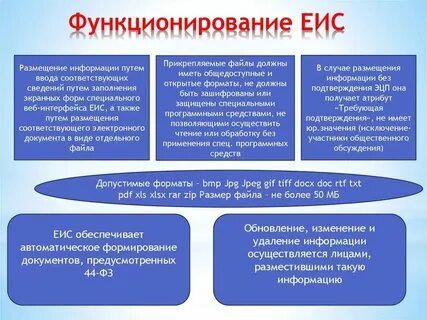 Рскп в еис это