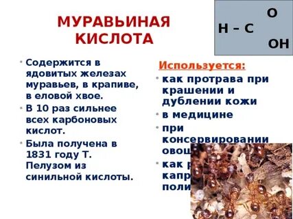 Кислота в крапиве