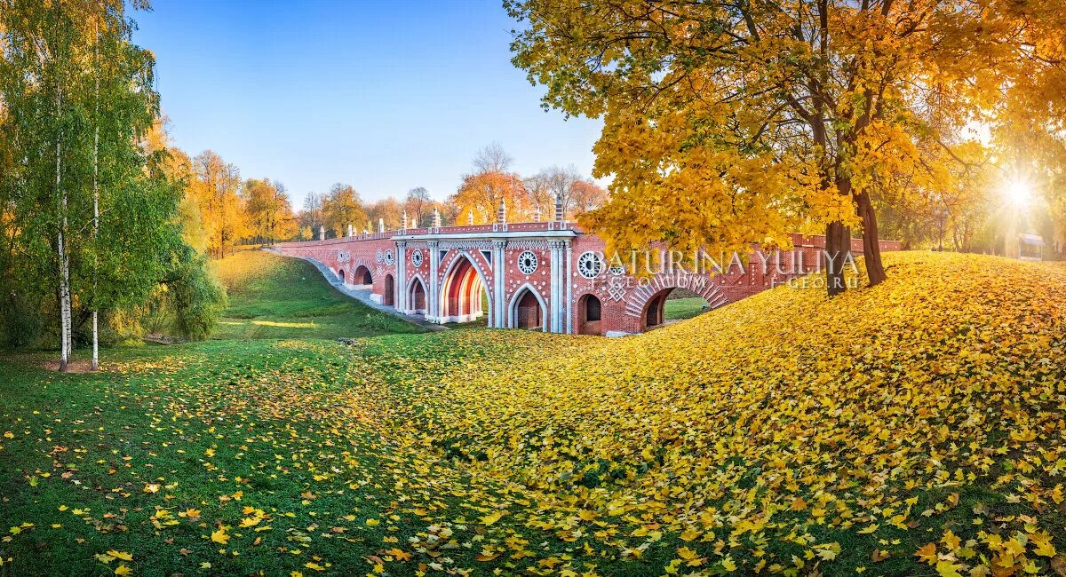 Царицыно истра. Парк Царицыно осенью. Москва осень Царицыно. Овраг в парке Царицыно. Мост Царицыно Москва осень.