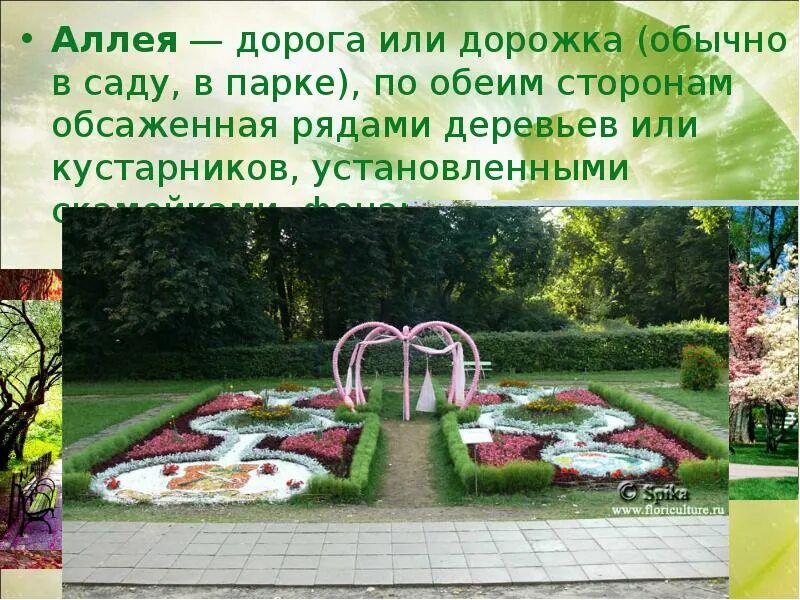 Аллея в зимнем парке сочинение. Липовая аллея ропшинский парк. Петергоф аллея. Загадка со словом аллея. Стихи про липовые аллеи.