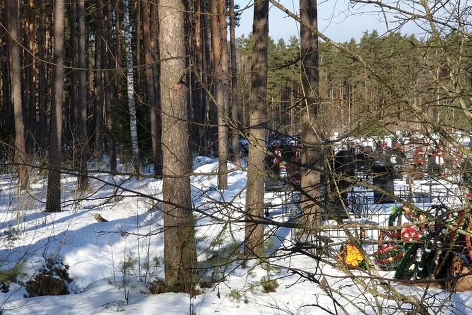 Белые берега ул. Белый берег суздаль. Земля в белых берегах. Суванто ярви коттеджный поселок. Кладбище якшанга.