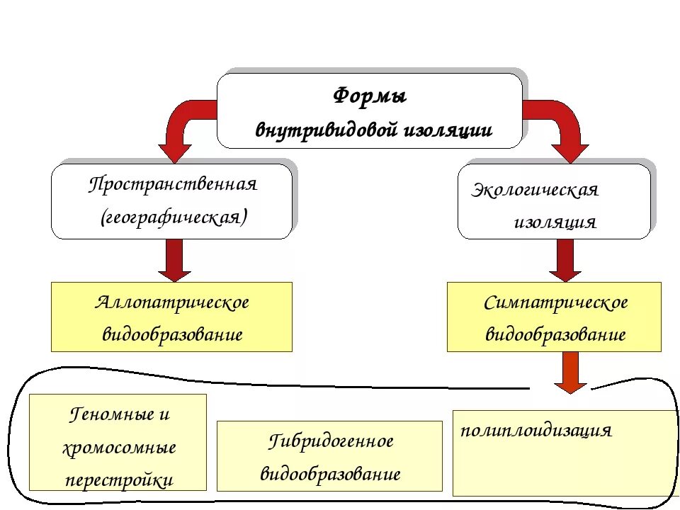 Формы изоляции. Формы биологической изоляции. Изоляция виды изоляции биология. Экологическая форма изоляции.