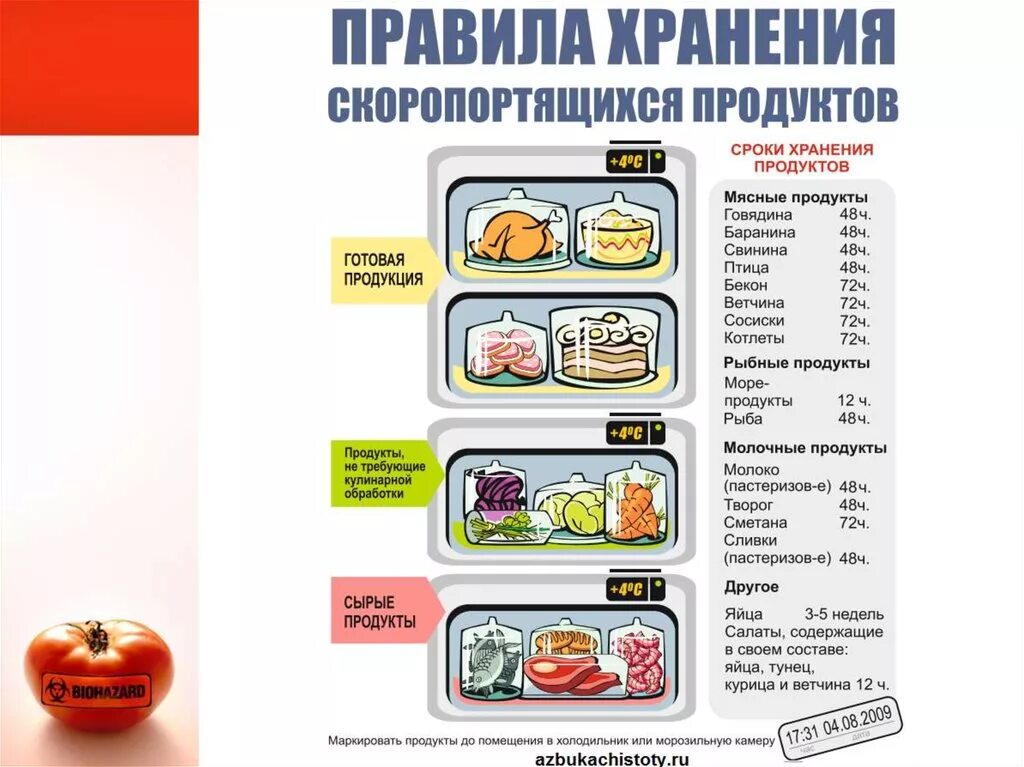 Хранение продуктов по ХАССП для общепита. Правила хранения продуктов. Правила хранения скоропортящихся продуктов. Требования к хранению продуктов в холодильнике. Товарное соседство в холодильнике