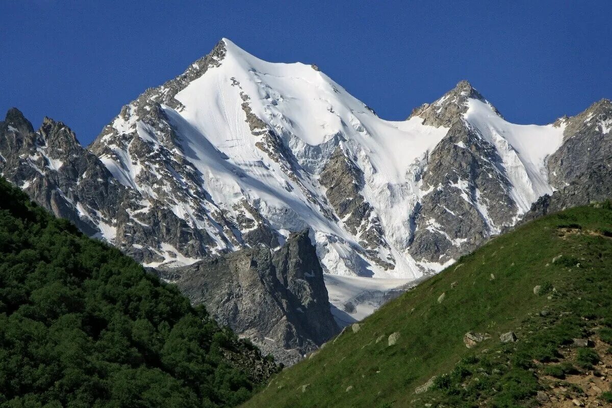 Какая наивысшая точка кавказа. Пик Джимара. Вершина Шхара.