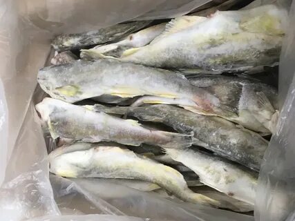 Вкус рыбы навага