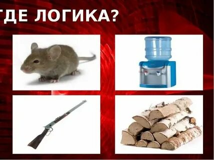 Что общего между 2 этими