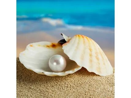 Pearl dream