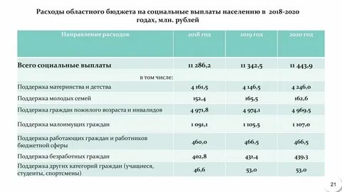 Соц защита 29