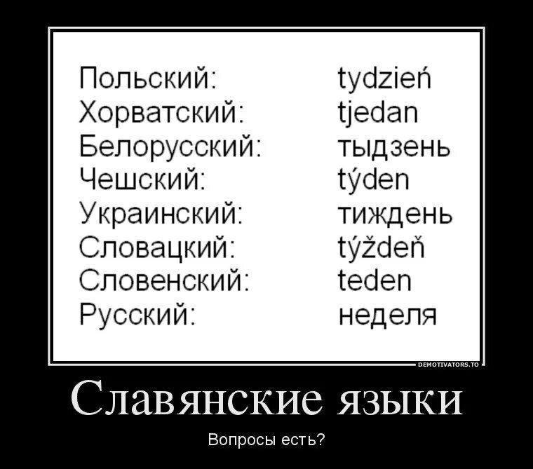 Как переводится украинский язык. Смешные слова на славянских языках. Схожие слова в славянских языках. Смешные славянские слова. Славянские языки.