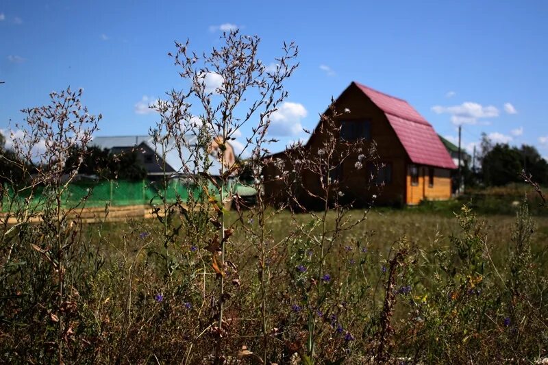 Деревня булгаково рязанская область. Добрый сот рязанская область. Погода засечье. Погода засечье. Деревня чевкино рязанская область.