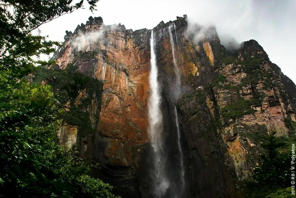 Самый высокий водопад гвианском плоскогорье. Водопад Анхель. Самый высокий водопад Анхель. Водопад Анхель естественный бассейн. Водопад Анхель фото.