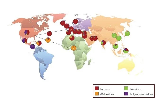 Генетика национальность. ДНК тест на Национальность. Тест ДНК на этническую принадлежность. ДНК тест на этническое происхождение. Анализ на национальную принадлежность.