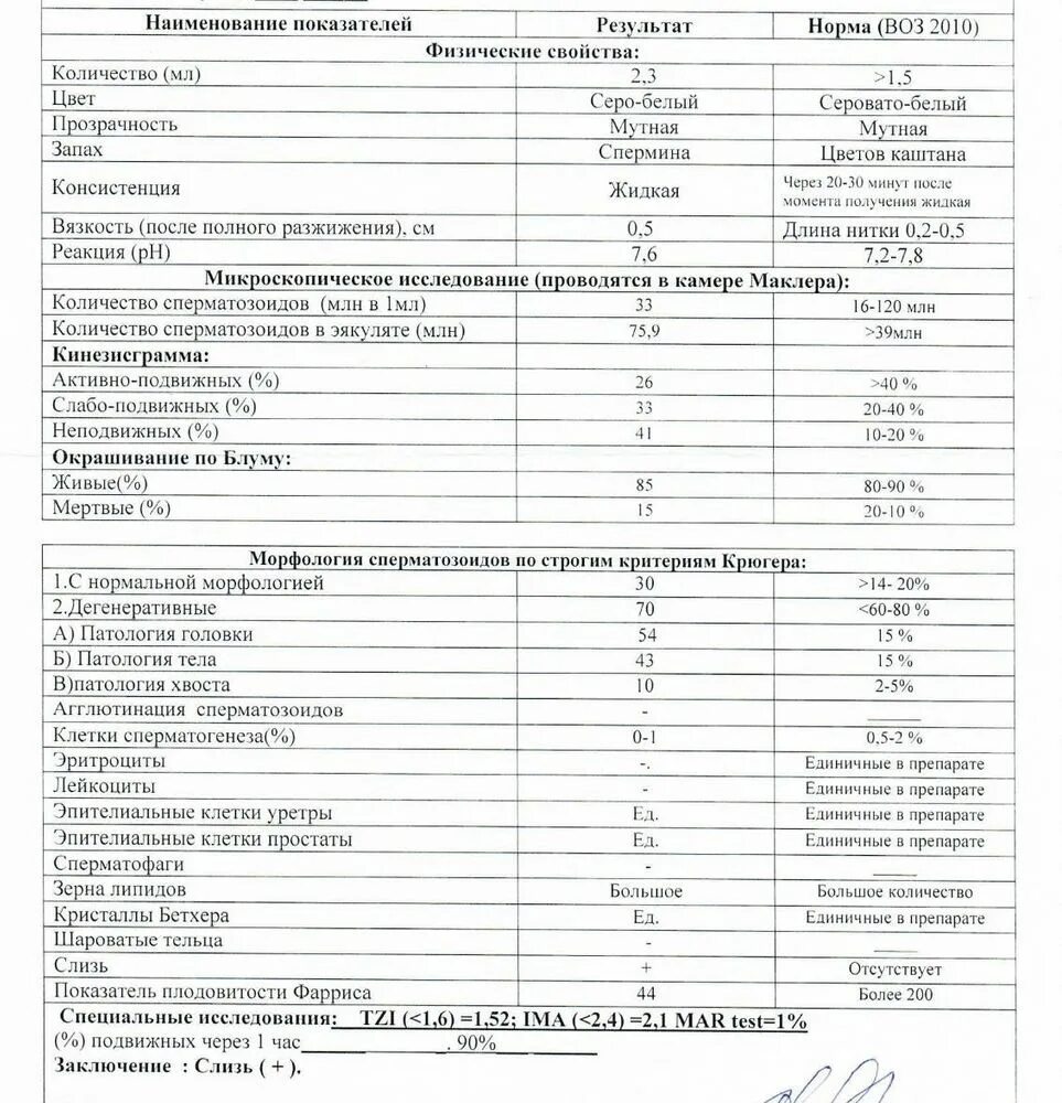 Спермограмма в норме показатели. Морфология сперматозоидов (по крюгеру) норма. спермограмма при азооспермии. спермограмма по строгим критериям крюгера. морфология спермограммы расшифровка.