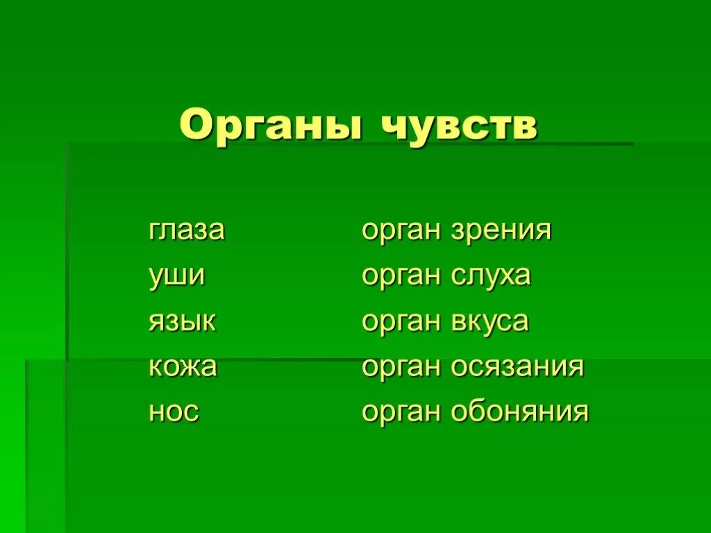 Органы чувств сердце. Органы чувств. Органы чувств 2 класс. Презентация органы чувств 2 класс. Органы чувств 2 класс окружающий мир.