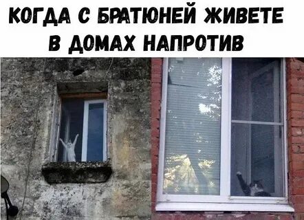 Сосед живущий напротив