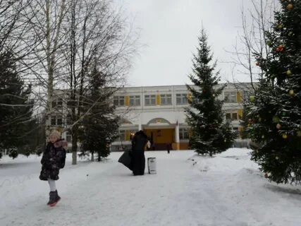 Гимназия 9 купавна