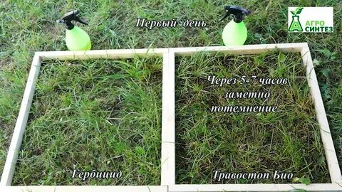 Травостоп био отзывы