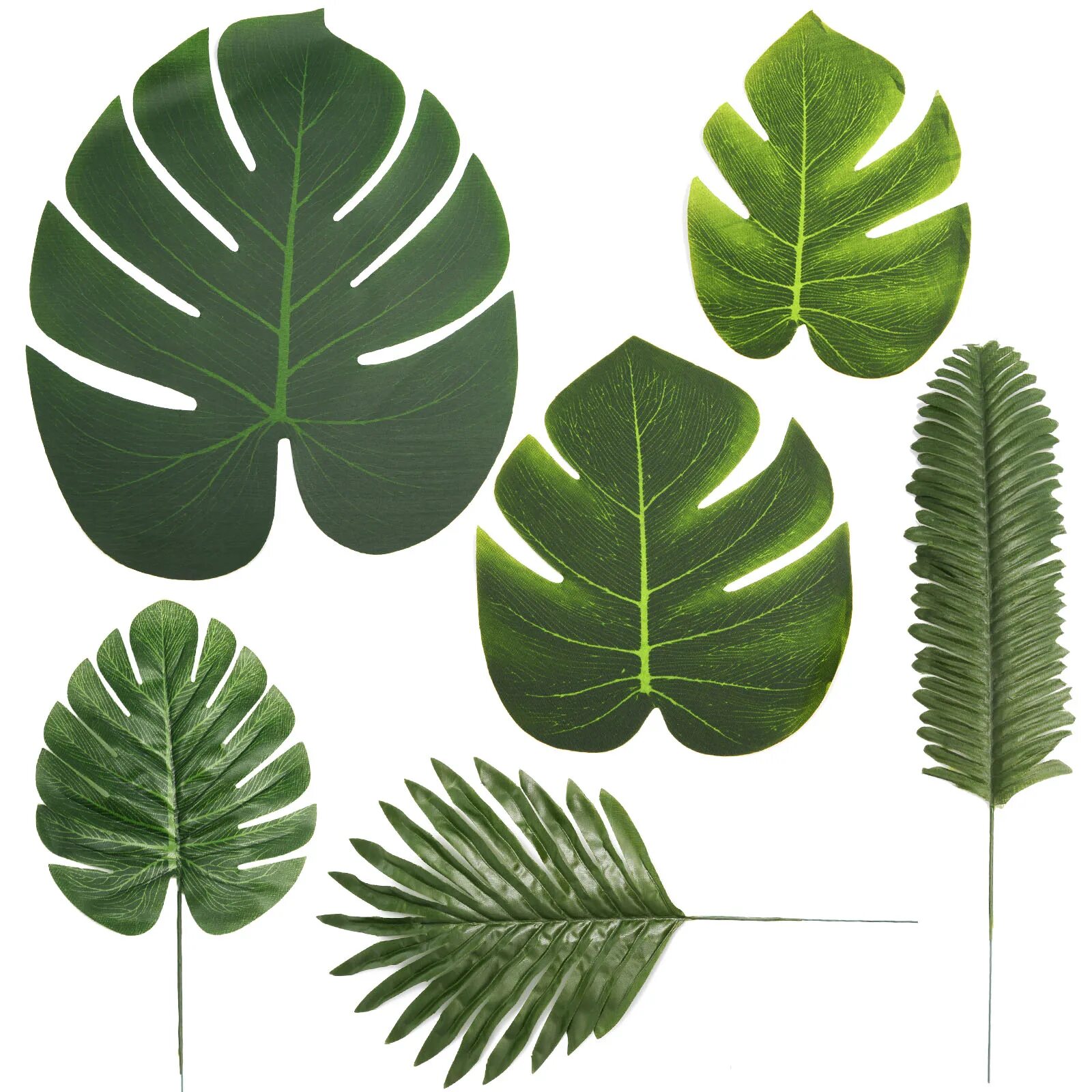 Листики для украшения комнаты. Форма листьев пальмы. Пальма с длинными листьями. Тропические листья для печати. Тропические листья для вырезания.