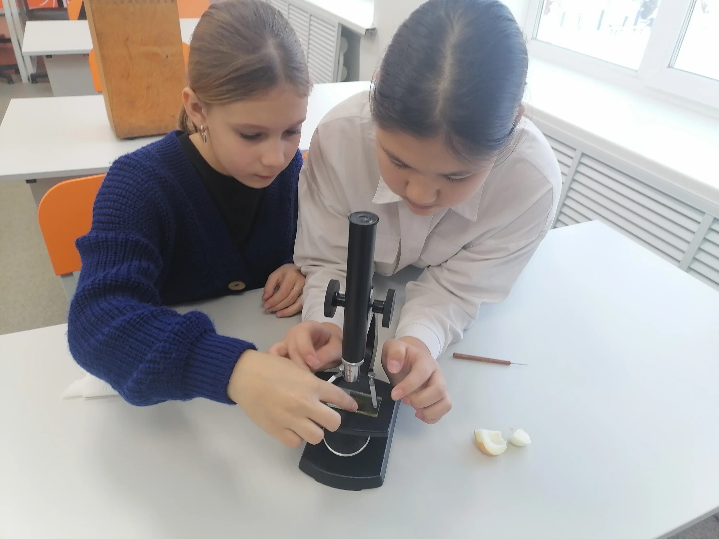 урок биологии в школе. олимпиада по биологии. преподавание биологии в школе. огэ по биологии микроскоп. урок биологии 2022.