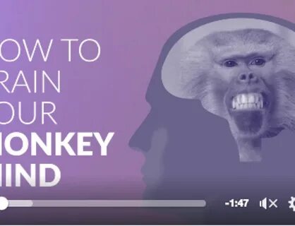 Your monkey перевод
