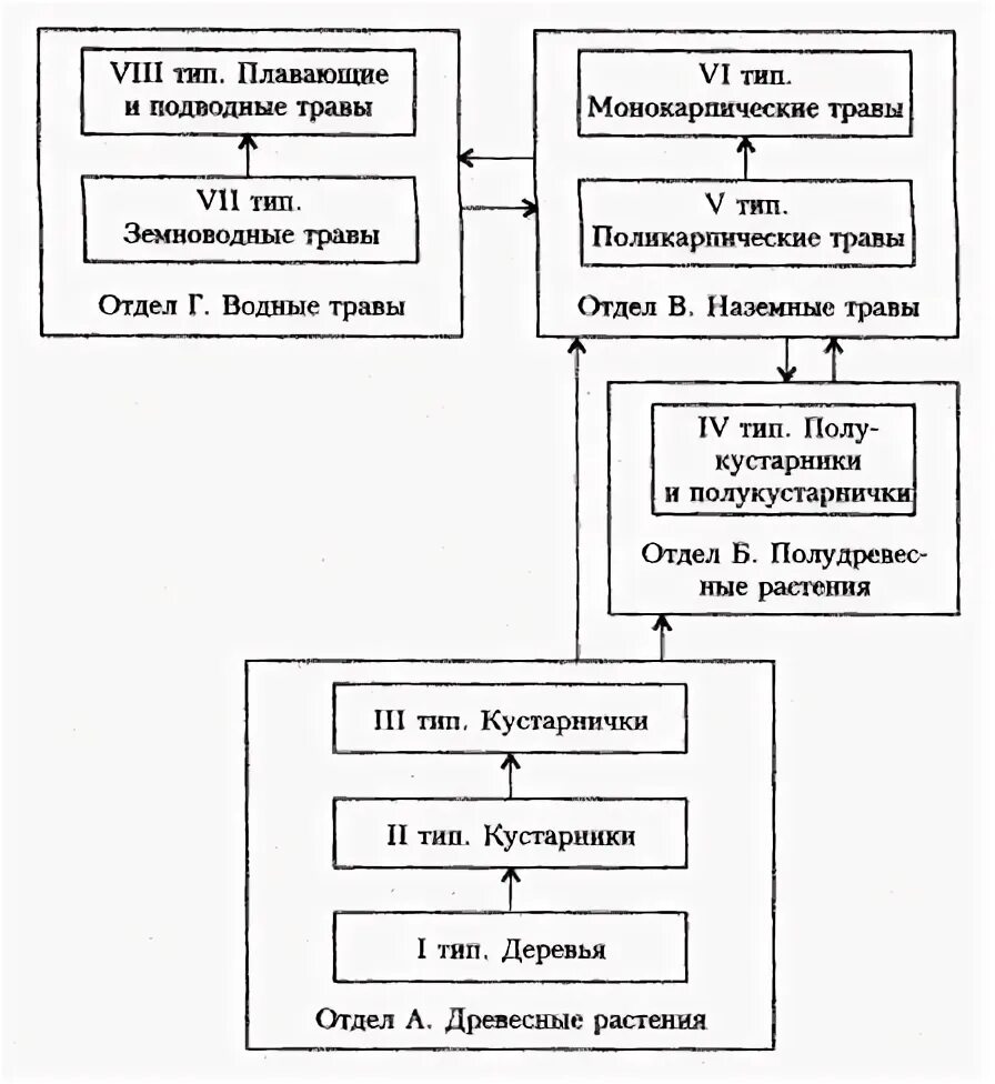Классификация жизненных форм по серебрякову. Классификация жизненных форм по серебрякову