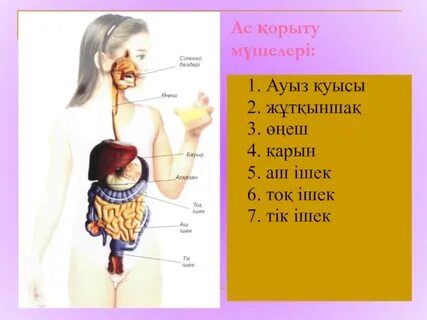 Дик соратын қара әйелдердің суреттері